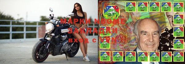 стафф Алзамай