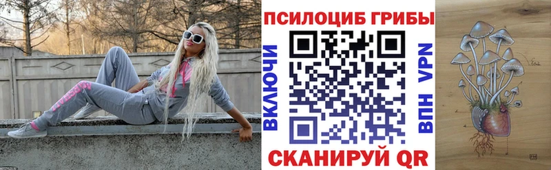 нарко площадка состав  Старая Купавна  Псилоцибиновые грибы Psilocybe  как найти закладки 
